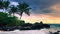 pic for Hawaii Beach 